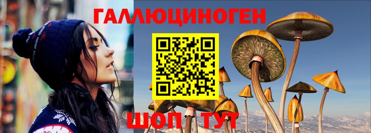Псилоцибиновые грибы ЛСД  Галлюциногенные грибы мухоморы  Сальск  купить   Вход с VPN 